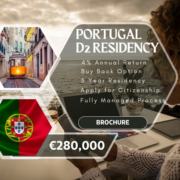 Business investment for the d2 residency visa in portugal