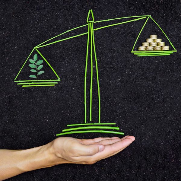 Find a balance between profit and ethical green investment funds in portugal