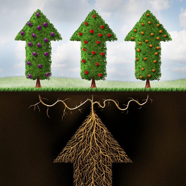 Arrows showing how to exit a golden visa fund